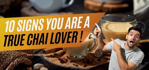 Chai lover