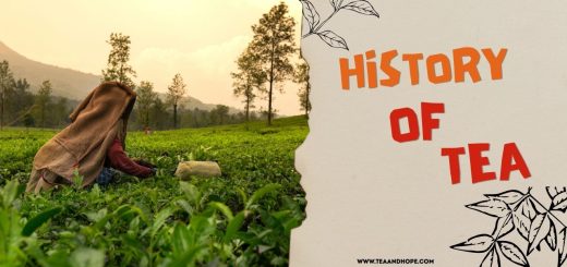 history of tea