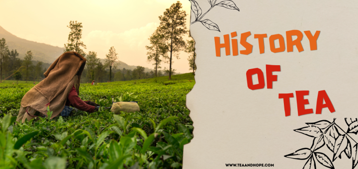 history of tea