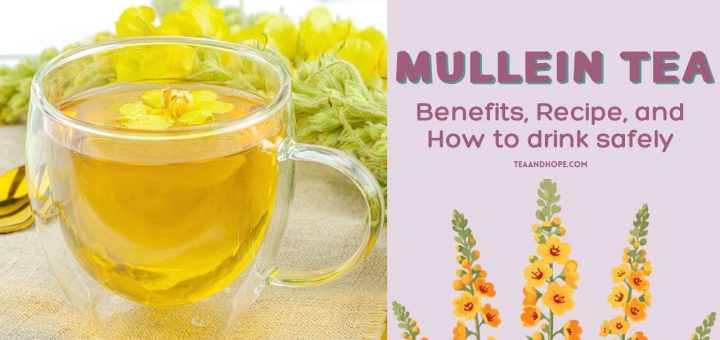 mullein tea