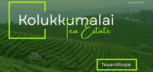 Kolukkumalai Tea Estate