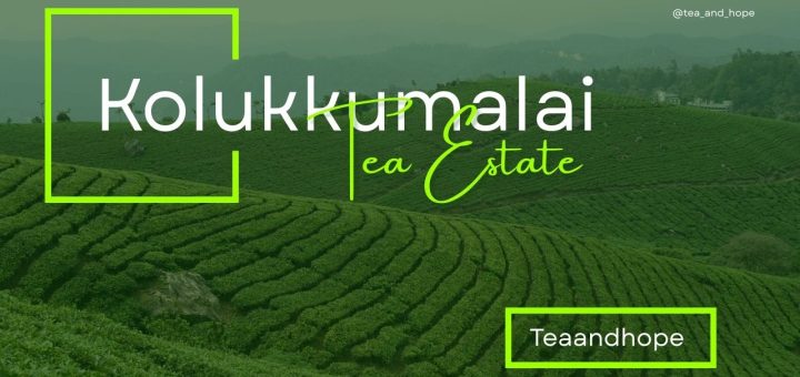 Kolukkumalai Tea Estate
