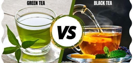 black vs green tea