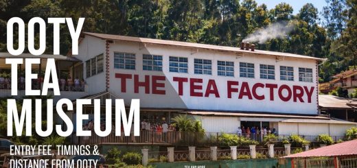 ooty tea museum