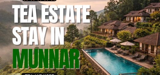 tea estate stay in munnar