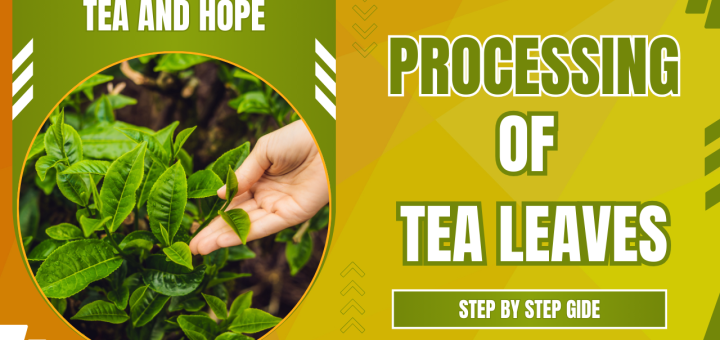 processing of tea leaves