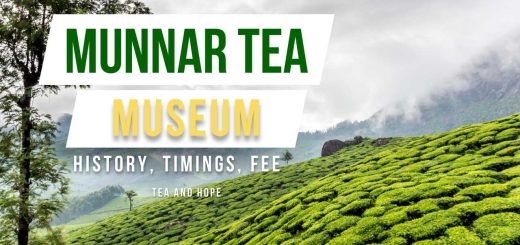 munnar tea museum