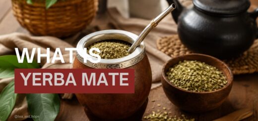 what is yerba mate