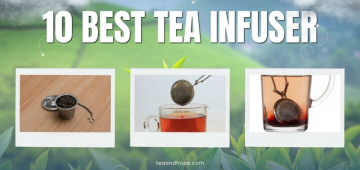 best tea infuser